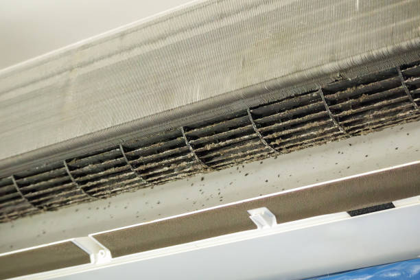 Best Air Duct Sanitizing Services  in Los Molinos, CA